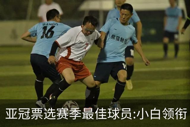 亚冠票选赛季最佳球员:小白领衔 奥古比埃拉上榜