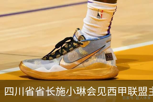 四川省省长施小琳会见西甲联盟主席：促进俱乐部深度合作