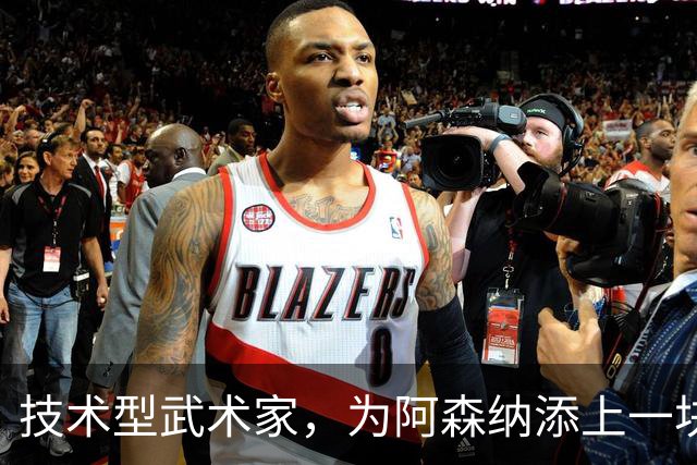 技术型武术家，为阿森纳添上一块拼图