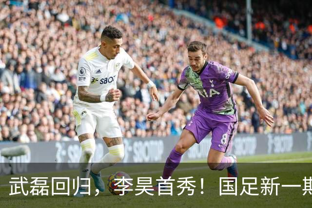 武磊回归，李昊首秀！国足新一期集训名单公布