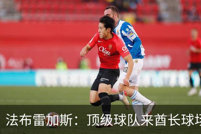 法布雷加斯：顶级球队来酋长球场也会吃力，皇马曾在这里0-3输球